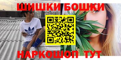 тгк Камышлов